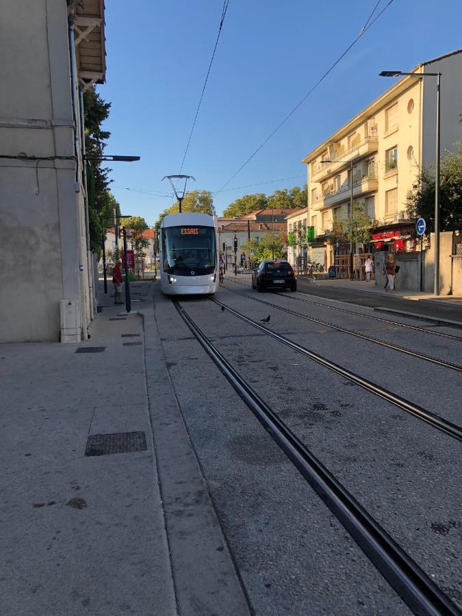 - D'hotes Le Foch Avignon